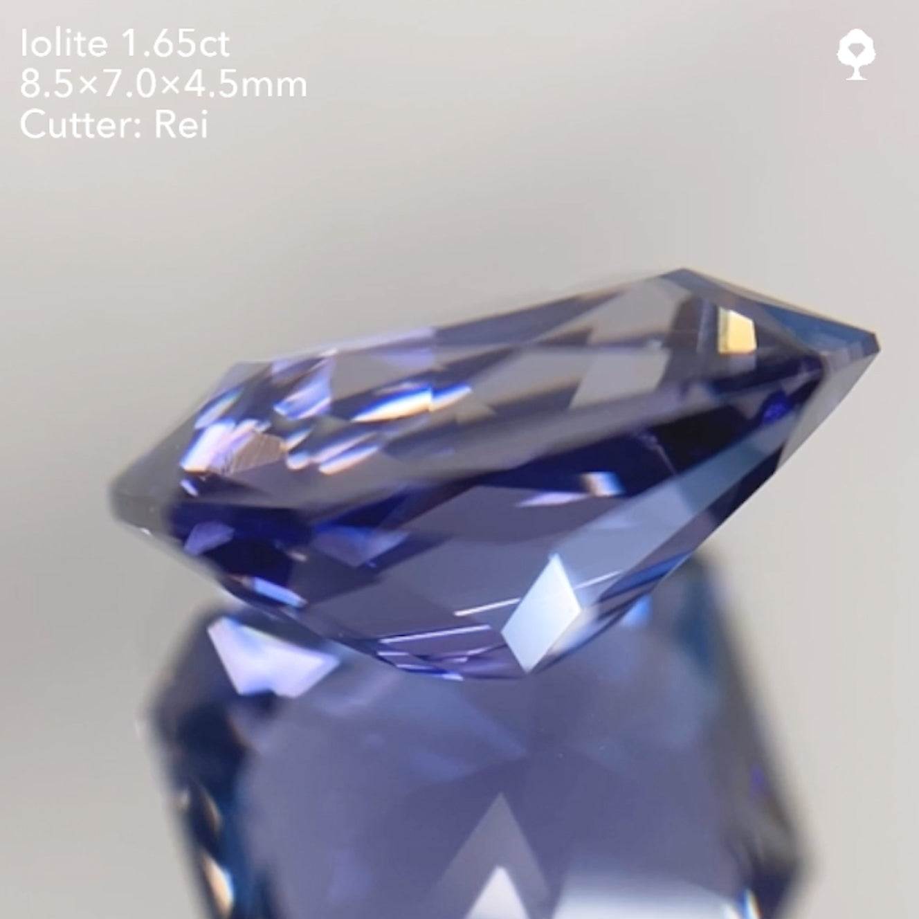 【SOLD OUT】アイオライト1.65ct/レイちゃん作品