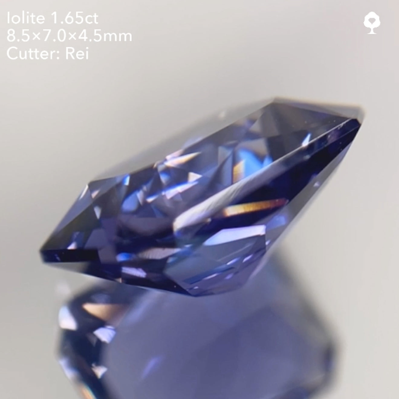 【SOLD OUT】アイオライト1.65ct/レイちゃん作品