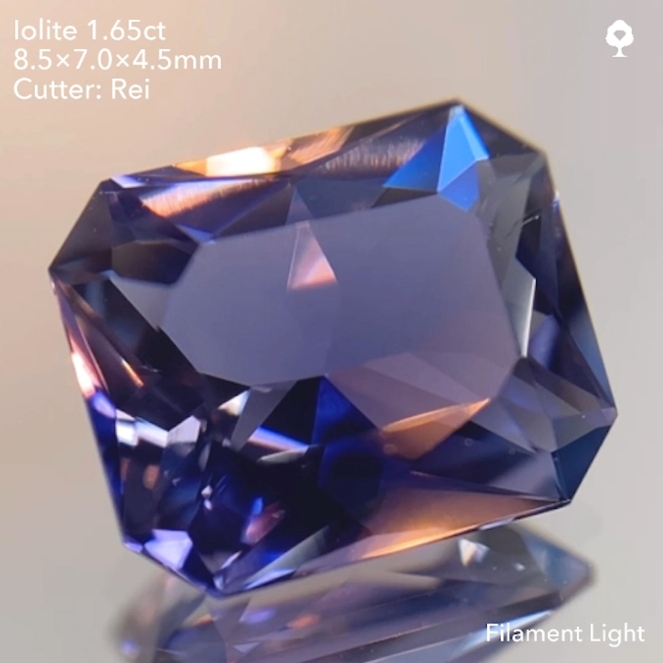 【SOLD OUT】アイオライト1.65ct/レイちゃん作品