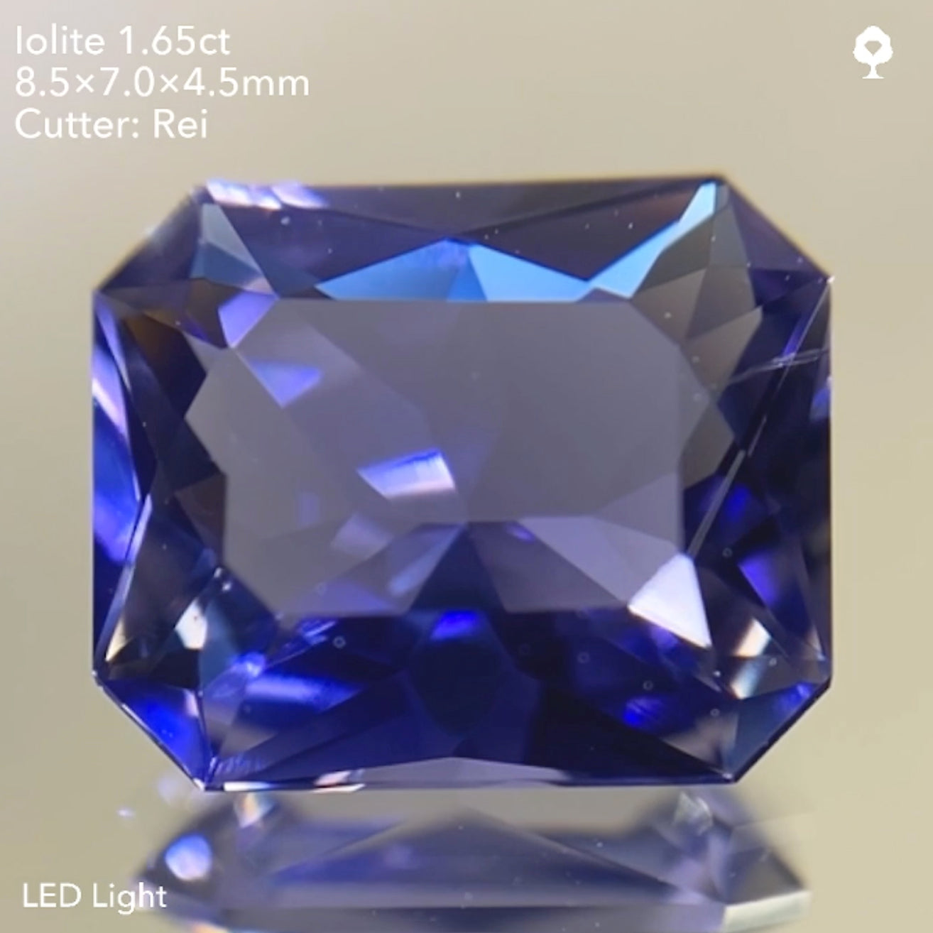 【SOLD OUT】アイオライト1.65ct/レイちゃん作品