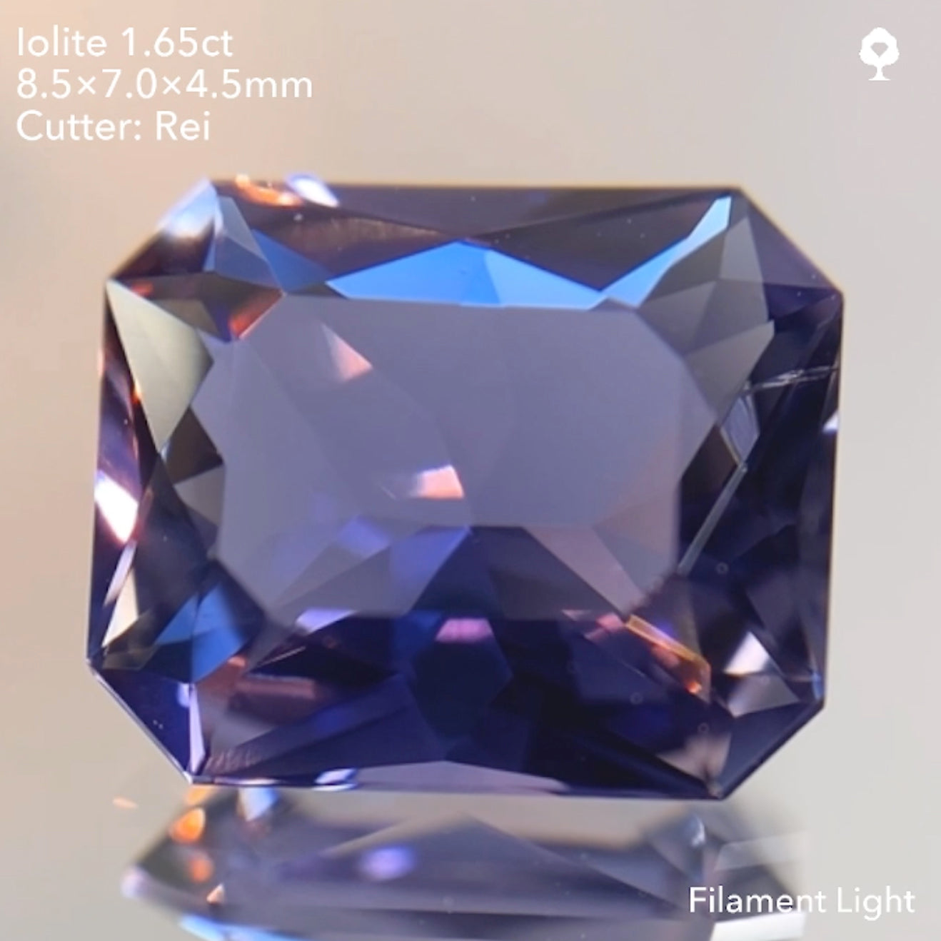 【SOLD OUT】アイオライト1.65ct/レイちゃん作品