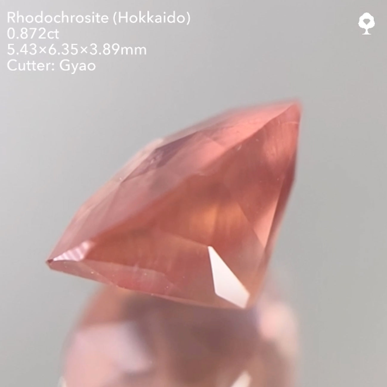 【SOLD OUT】キューブスターロードクロサイト0.872ct ゲオちゃん作品 11/14ライブ配信作品