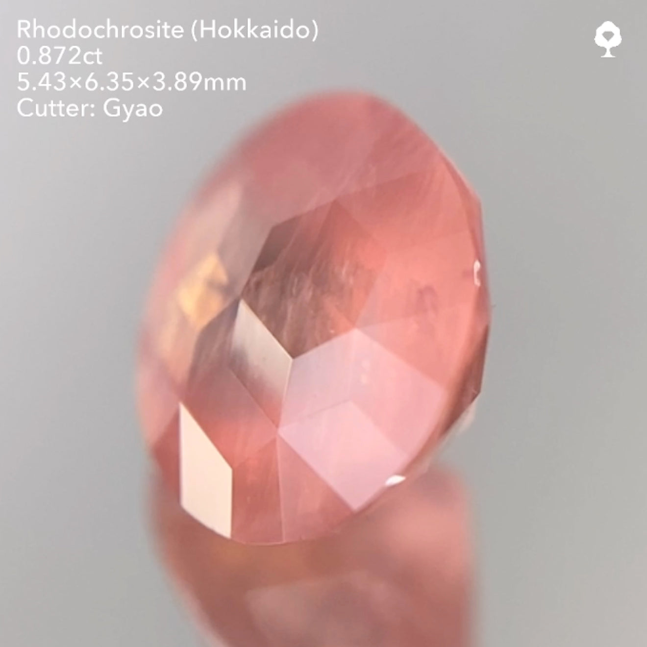 【SOLD OUT】キューブスターロードクロサイト0.872ct ゲオちゃん作品 11/14ライブ配信作品