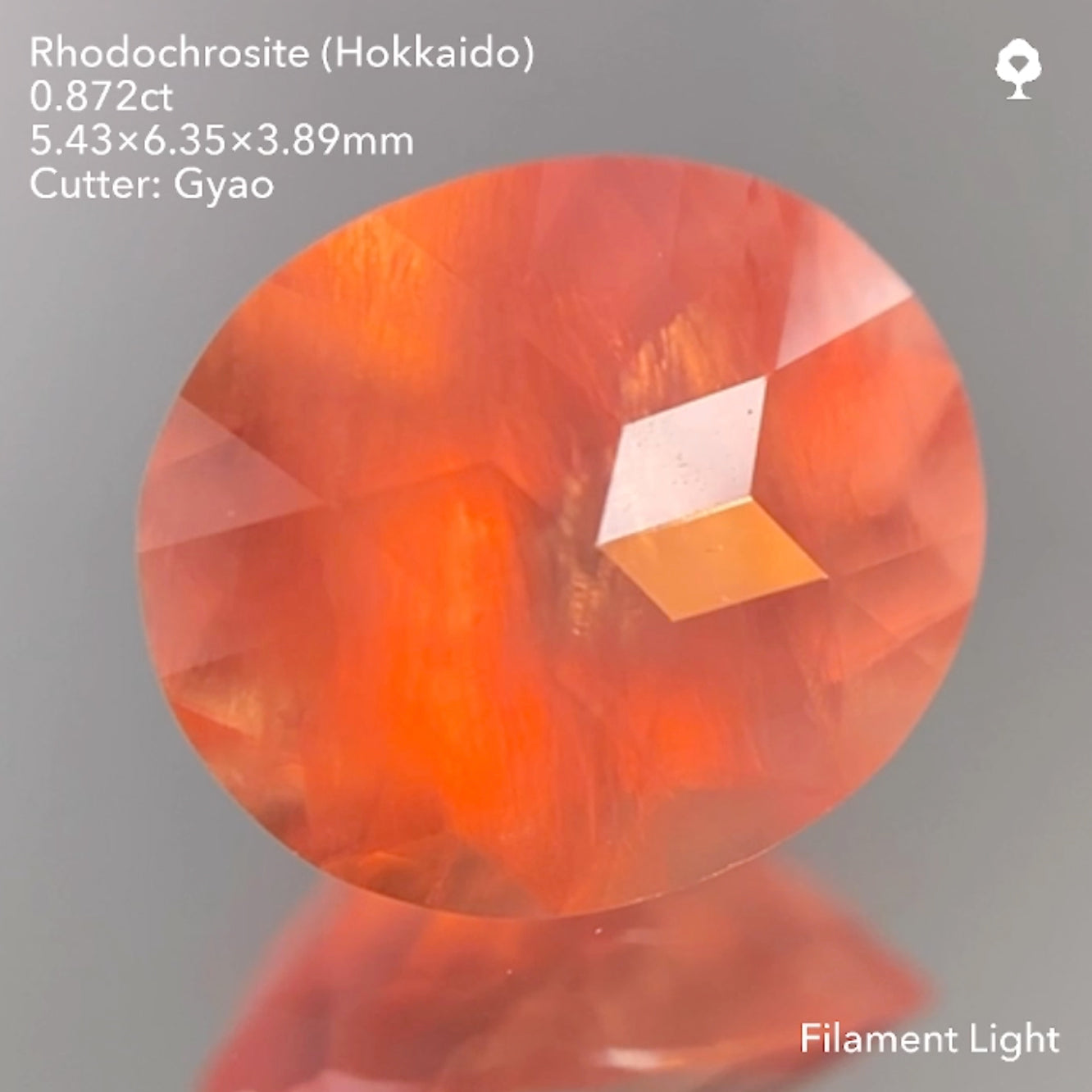 【SOLD OUT】キューブスターロードクロサイト0.872ct ゲオちゃん作品 11/14ライブ配信作品