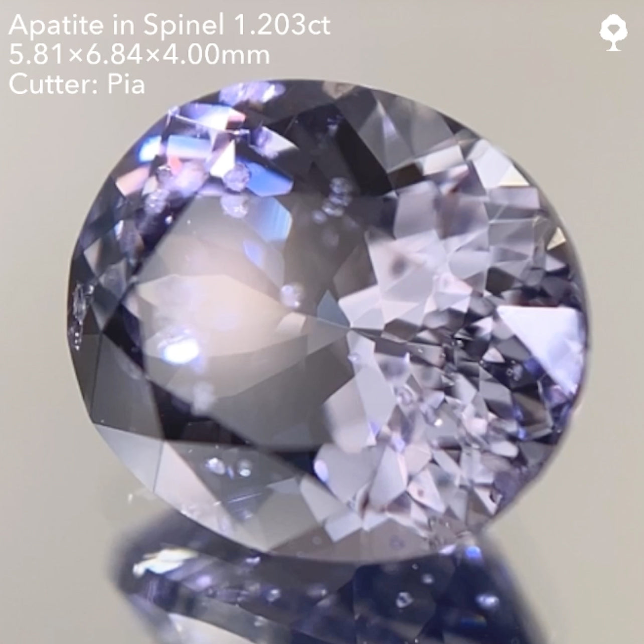 【SOLD OUT】アパタイト イン スピネル1.203ct ピアッちゃん作品 11/14ライブ配信作品