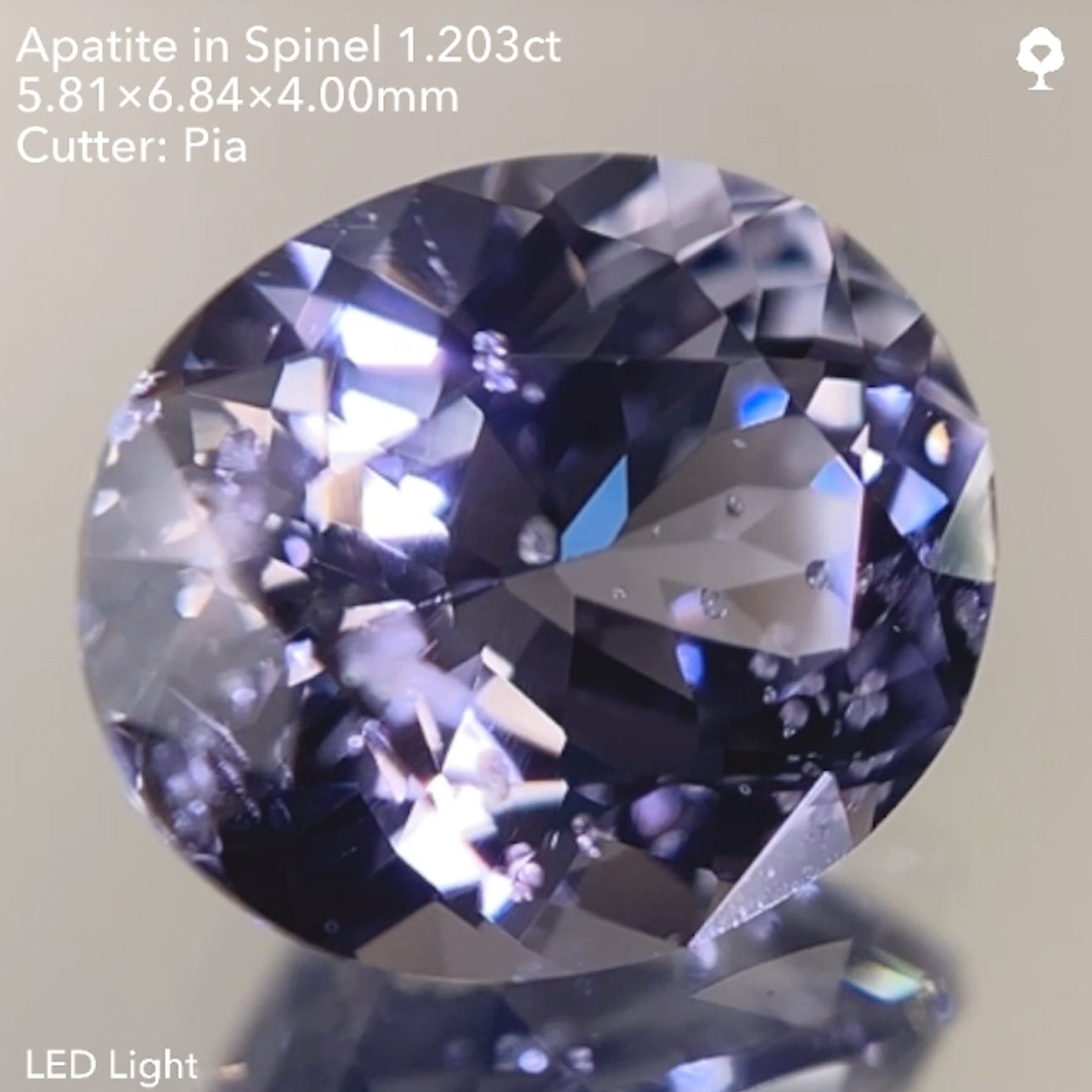 【SOLD OUT】アパタイト イン スピネル1.203ct ピアッちゃん作品 11/14ライブ配信作品