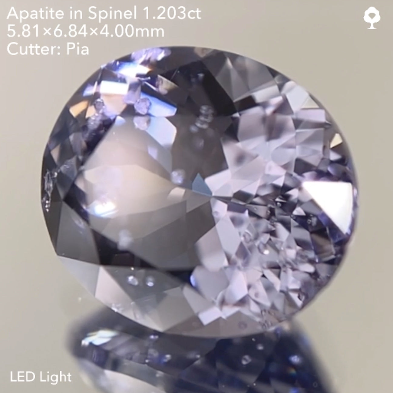 【SOLD OUT】アパタイト イン スピネル1.203ct ピアッちゃん作品 11/14ライブ配信作品