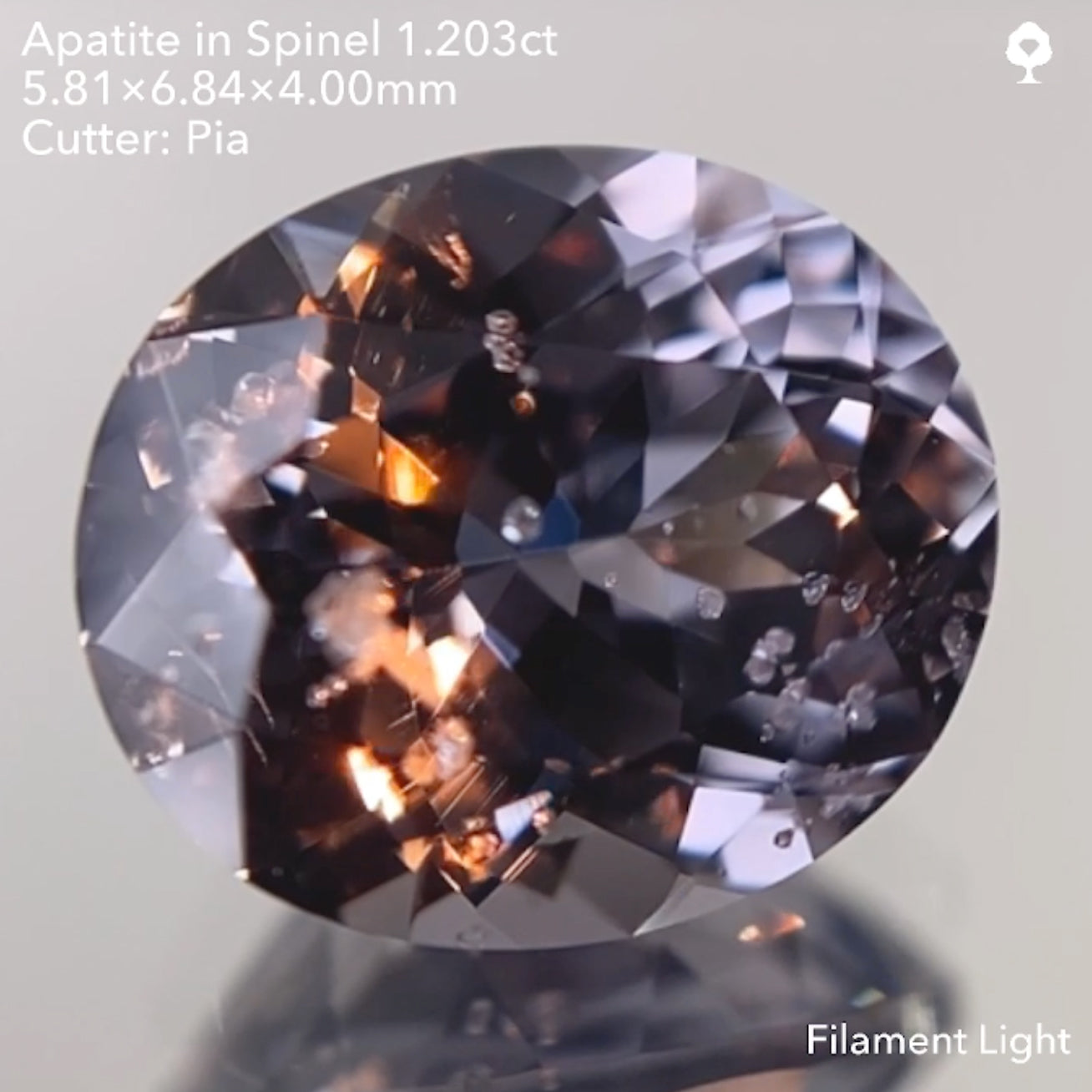 【SOLD OUT】アパタイト イン スピネル1.203ct ピアッちゃん作品 11/14ライブ配信作品