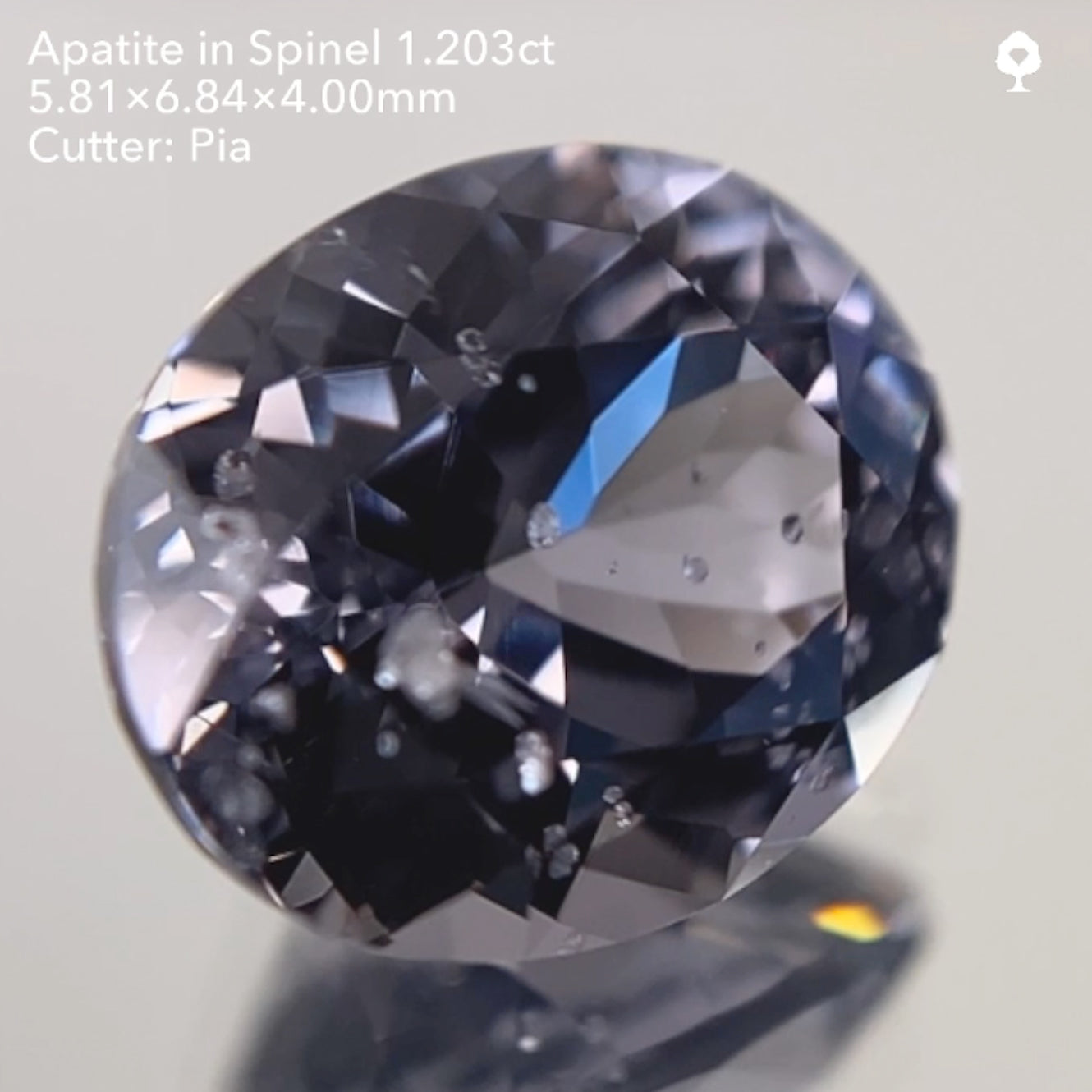 【SOLD OUT】アパタイト イン スピネル1.203ct ピアッちゃん作品 11/14ライブ配信作品