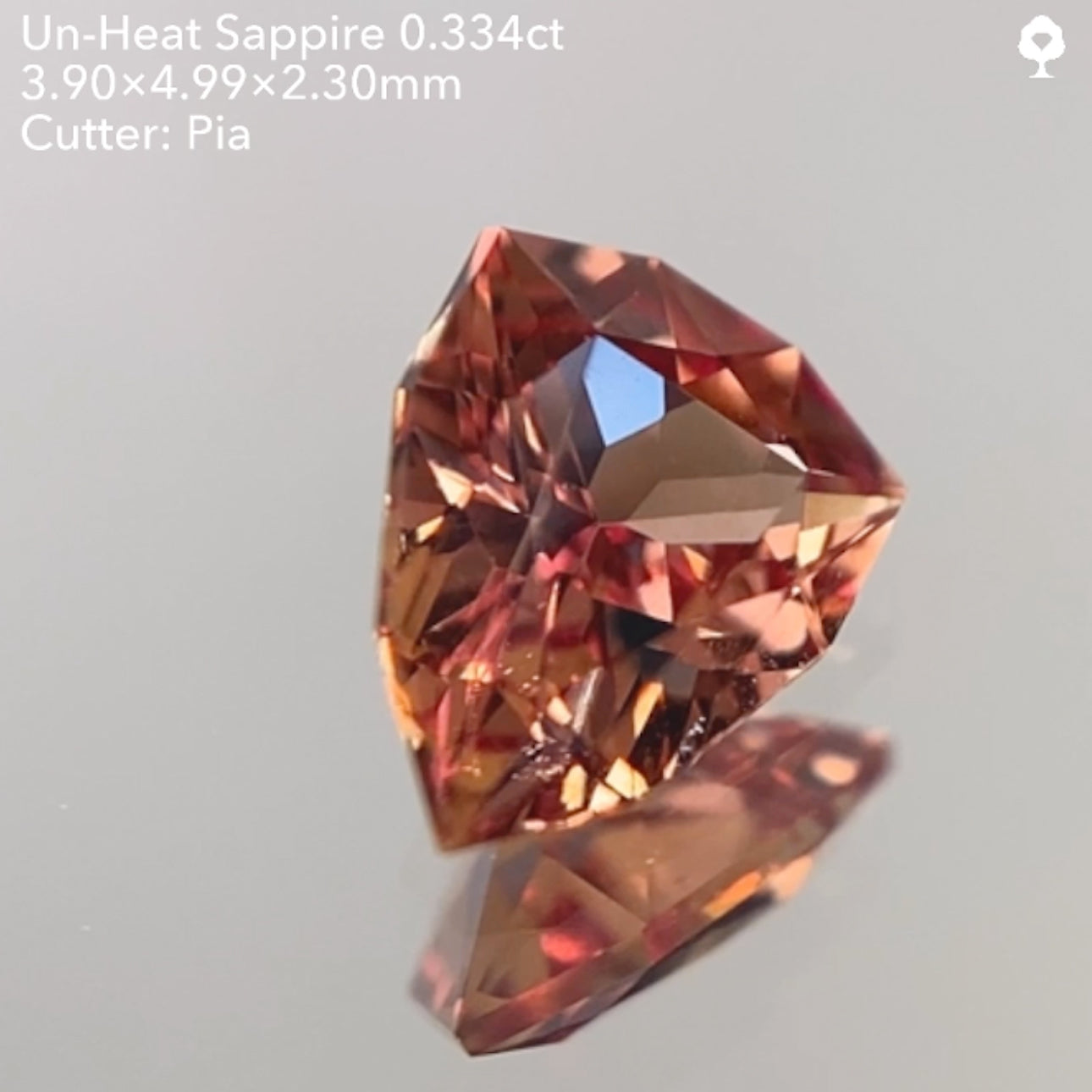 【SOLD OUT】非加熱サファイア0.334ct ピアッちゃん作品 11/14ライブ配信作品