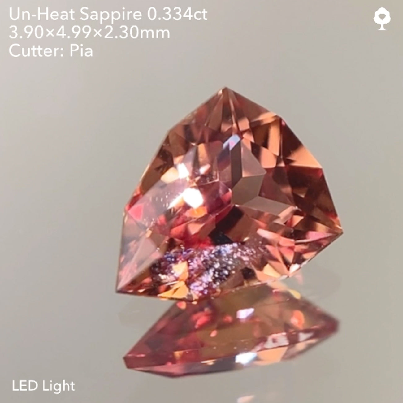 【SOLD OUT】非加熱サファイア0.334ct ピアッちゃん作品 11/14ライブ配信作品