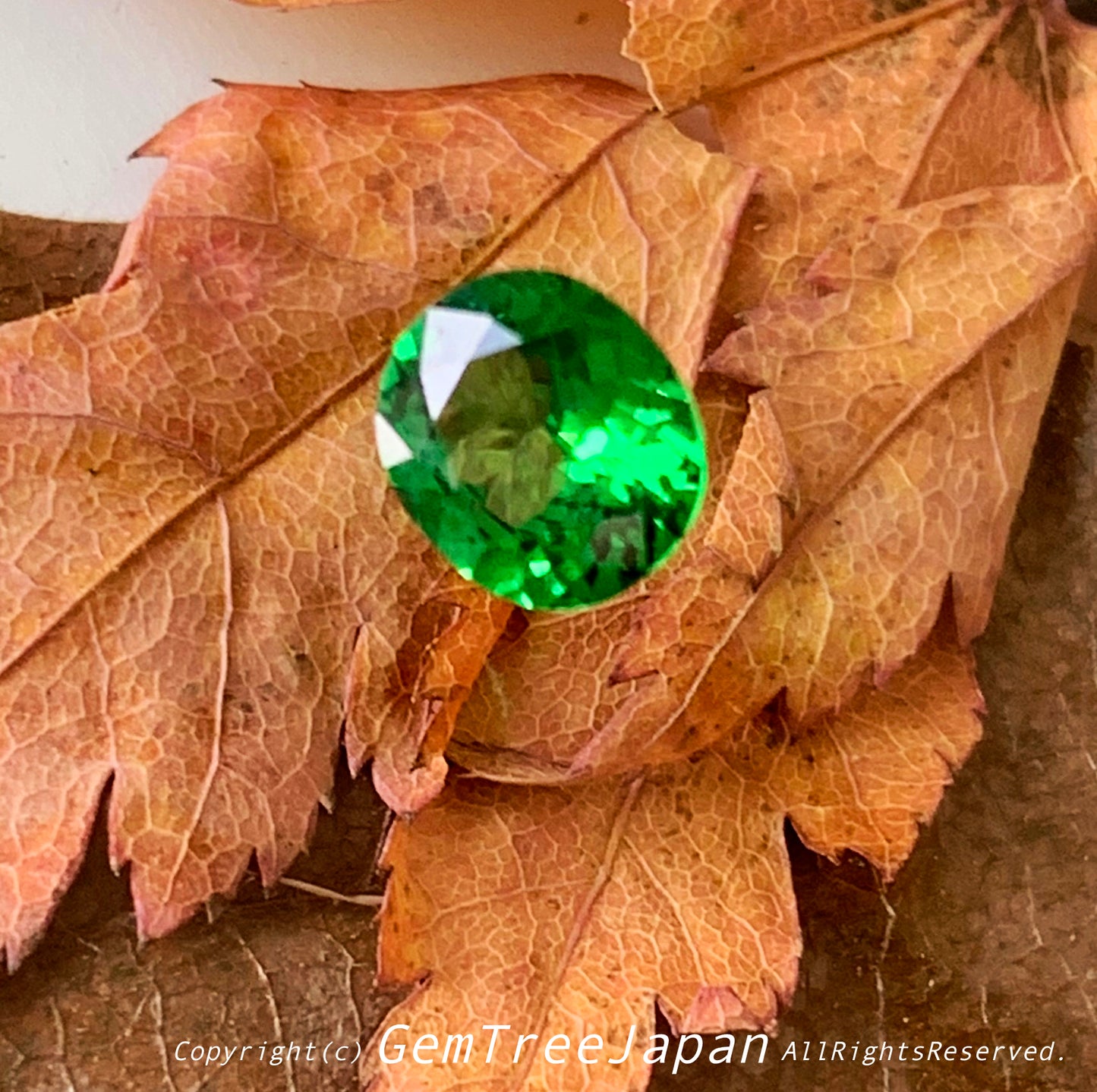 カナリ貴重なこのネオン感❗️ツァボライト(グリーンガーネット) 0.842ct✨11/17お昼Live配信商品⚡️ゲオちゃん作品💎