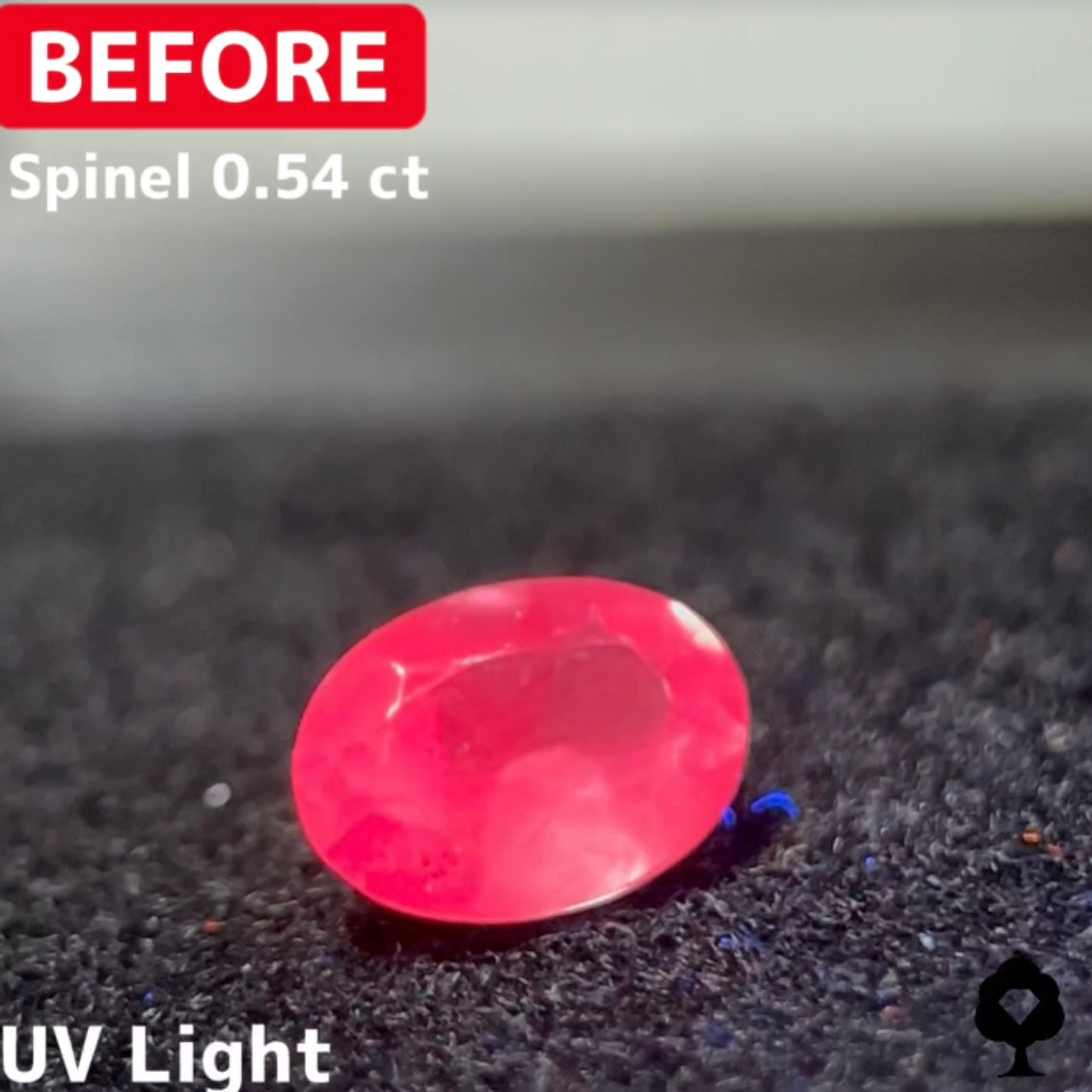 【BeforeAfterギャンブル企画2🦐】カットがモヤモヤするBefore宝石が生まれ変わる❗️スピネル Before 0.54ct