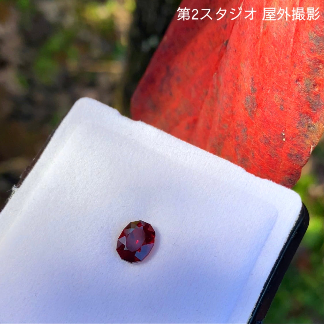 およそ一年ぶりの企画再稼働😁👍開催期間の長〜いオークション!その名も“1ヶ月オークション”💎🌲10/15スタート〜11/14終了🤣 ピアッちゃん作品「レッドマラヤガーネット」1.856ct✨