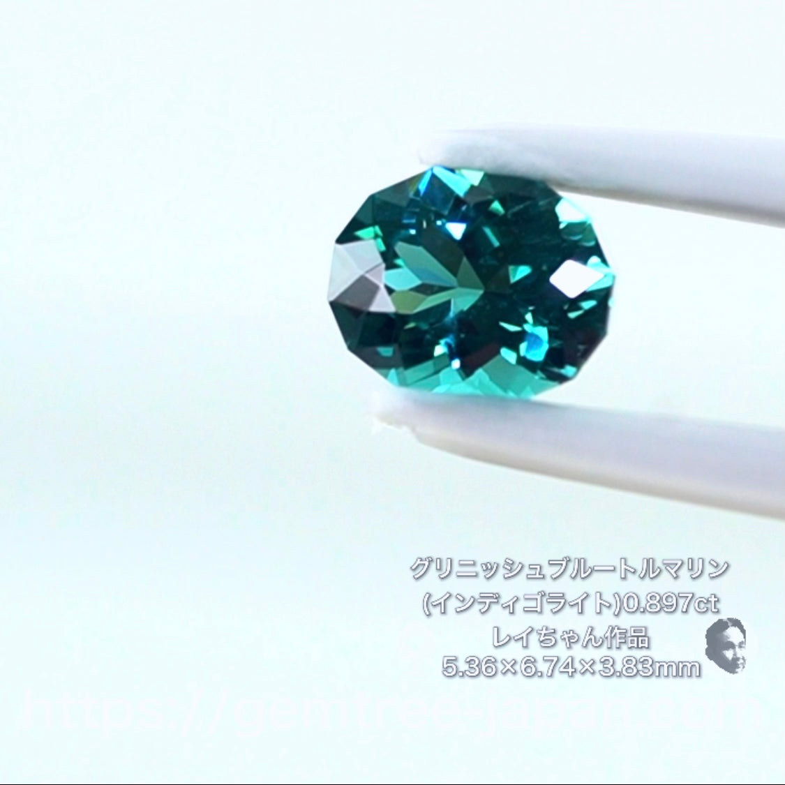 ハチャメチャ美しいグリニッシュブルートルマリン(インディゴライト) 0.897ct✨レイちゃん作品
