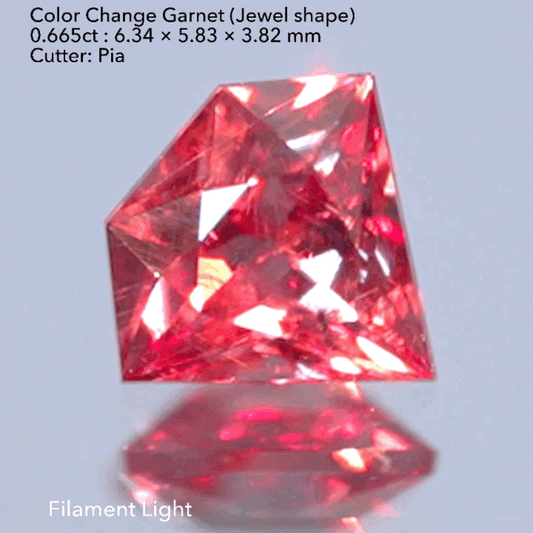 【宝石形】カラーチェンジガーネット0.665ct (マンダリンオリエンタル個展開催特別出品)