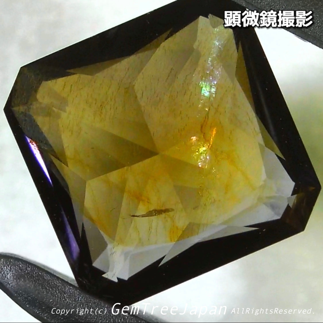 これぞアイオライトの面白さ😄こちらは1.41ct✨“青”特集 & “緑”特集 番外編❗半端ない多色感️👍
