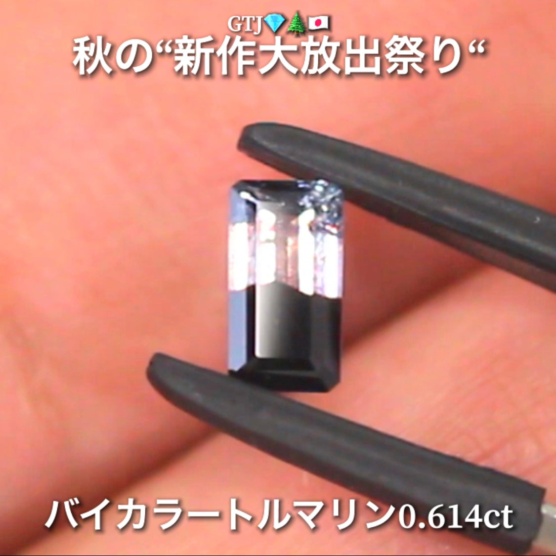個性的で魅力的なバイカラートルマリン0.614ct登場✨綺麗な組み合わせと珍しい組み合わせ💎秋の“新作大放出祭り🍁”でご紹介で〜す👍