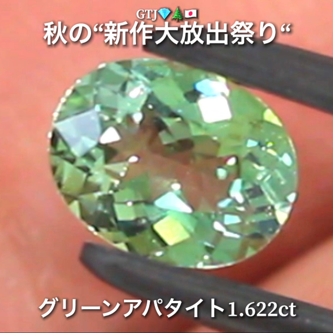 続いてはグリーンアパタイト1.622ct登場✨キラキラファイアーをまとった綺麗な煌き💎秋の“新作大放出祭り🍁”でご紹介で〜す👍