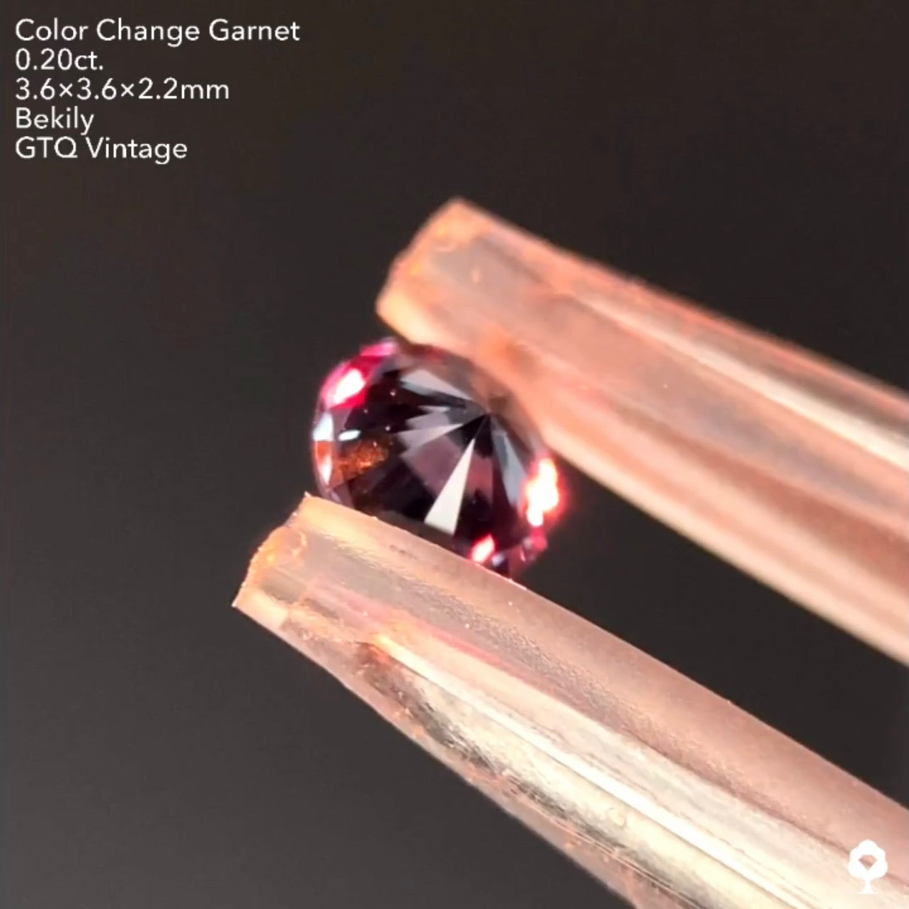 No19.🌊良き質🤤ベキリー(カラーチェンジ)ガーネット0.20ct❤️🔥全サイトでイッキに販売スタートLive💎✨❤️🔥🔦