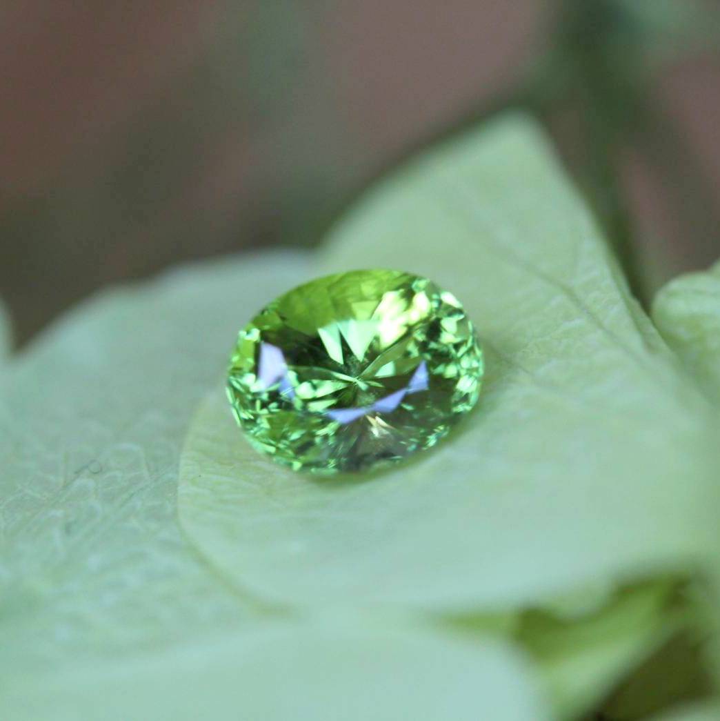 【SOLD OUT】季節外れに新芽がひょっこり✨🌱✨新緑グリーンが眩しいパキスタン産ペリドット✨両面変則キューブ0.858ct.