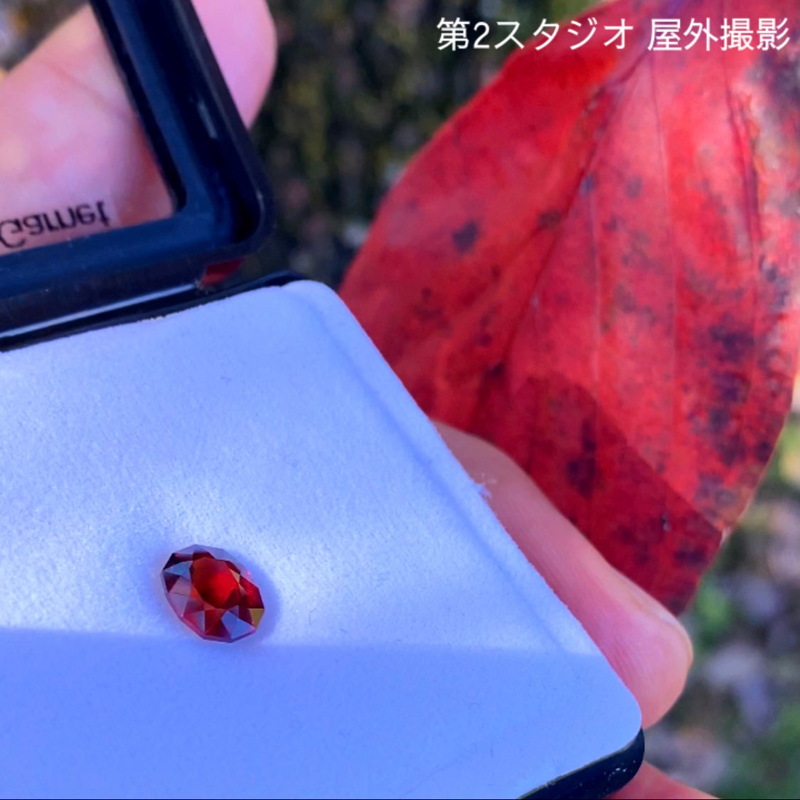 およそ一年ぶりの企画再稼働😁👍開催期間の長〜いオークション!その名も“1ヶ月オークション”💎🌲10/15スタート〜11/14終了🤣 ピアッちゃん作品「レッドマラヤガーネット」1.856ct✨