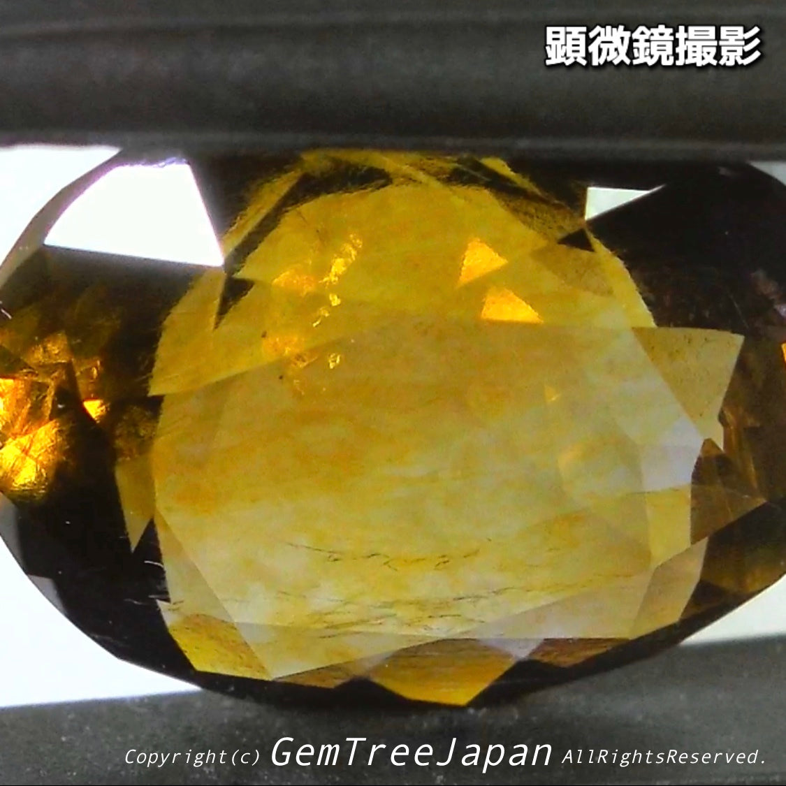 これぞアイオライトの面白さ😄こちらは2.50ct✨“青”特集 & “緑”特集 番外編❗半端ない多色感️👍