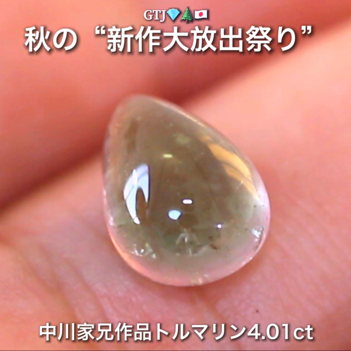 つるぴかウォーターメロン4.01ct🍉楽しいトルマリン特集💎✨こちらはGemTreeAuctionでご紹介で〜す♬秋の“新作大放出祭り🍁”こちらは本日21:00終了です⏰