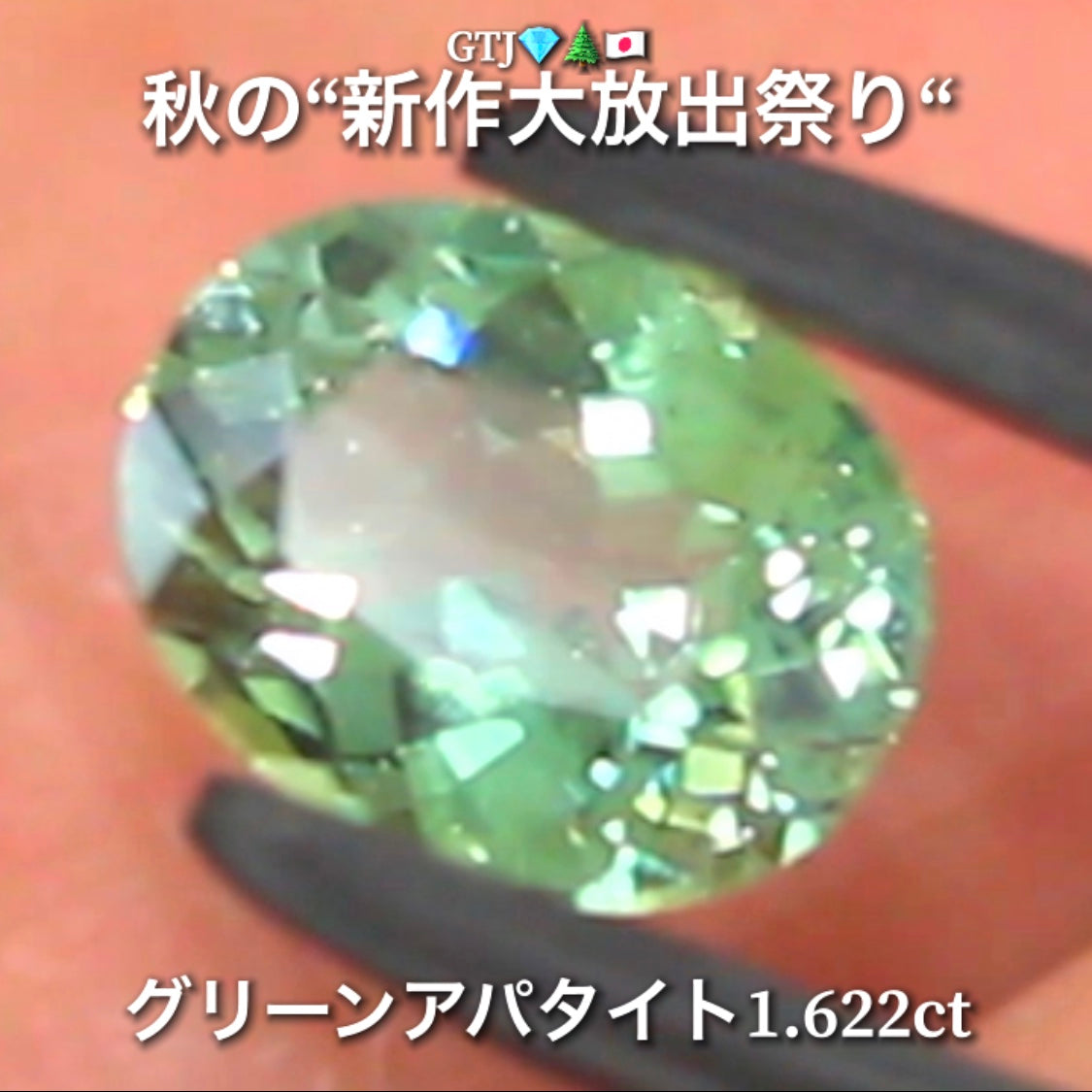 続いてはグリーンアパタイト1.622ct登場✨キラキラファイアーをまとった綺麗な煌き💎秋の“新作大放出祭り🍁”でご紹介で〜す👍