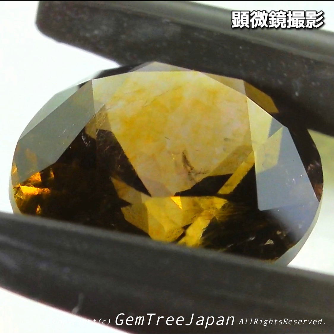 これぞアイオライトの面白さ😄こちらは2.50ct✨“青”特集 & “緑”特集 番外編❗半端ない多色感️👍