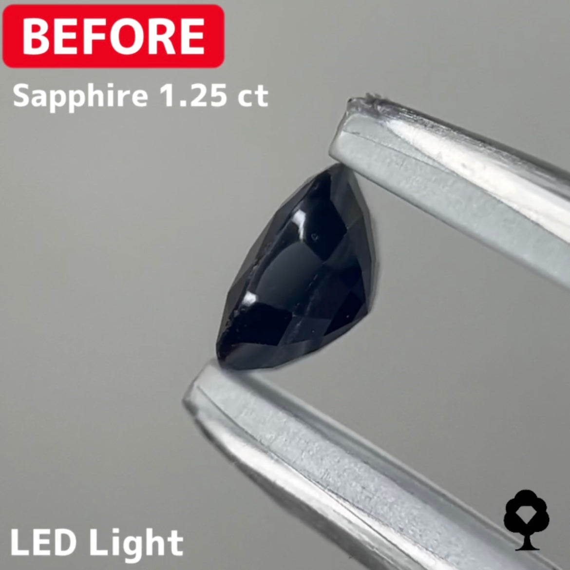 【BeforeAfterギャンブル企画2🦐】カットがモヤモヤするBefore宝石が生まれ変わる‼️サファイア Before 1.25ct