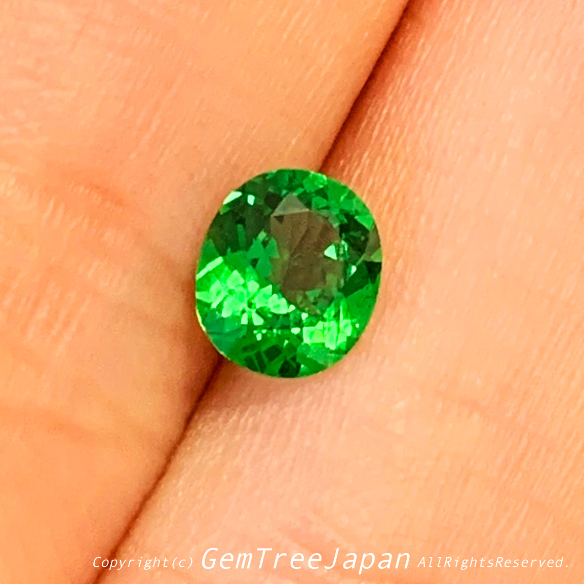 カナリ貴重なこのネオン感❗️ツァボライト(グリーンガーネット) 0.842ct✨11/17お昼Live配信商品⚡️ゲオちゃん作品💎
