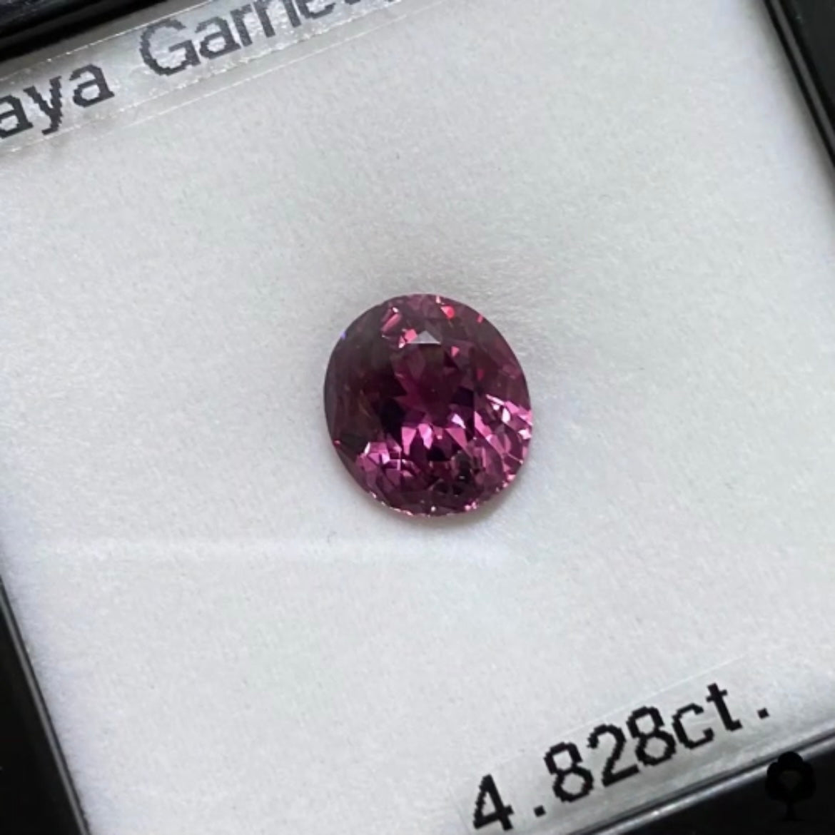 美色・品質・大きさ・カットの4拍子揃った傑作★マラヤガーネット 4.820ct