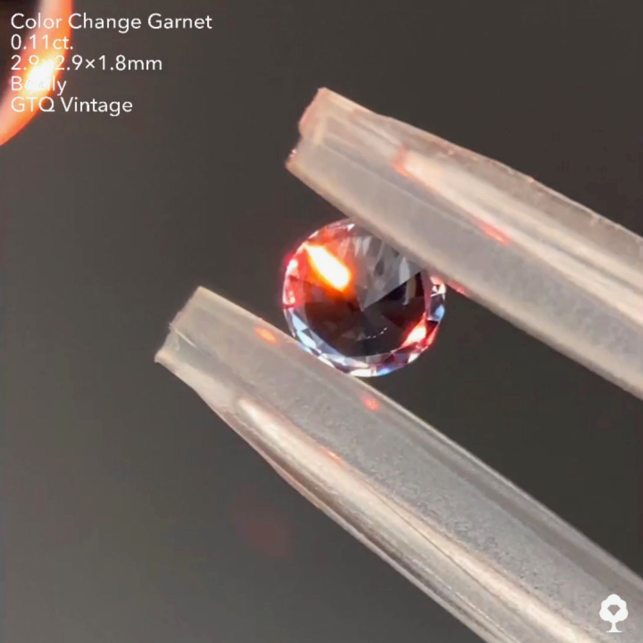 カッコよくてレアなグレーのベキリー(カラーチェンジ)ガーネット0.11ct❤️🔥