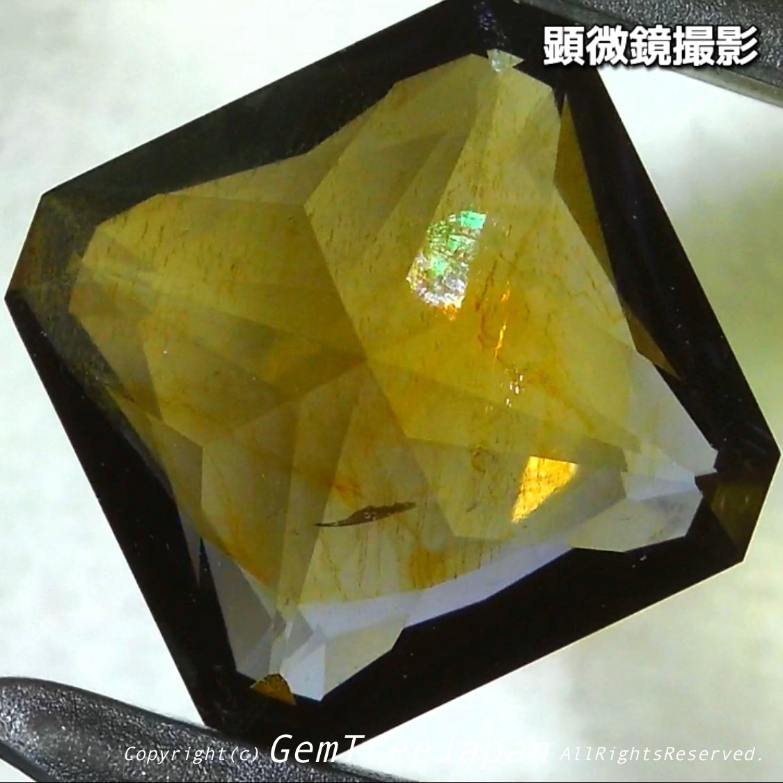 これぞアイオライトの面白さ😄こちらは1.41ct✨“青”特集 & “緑”特集 番外編❗半端ない多色感️👍