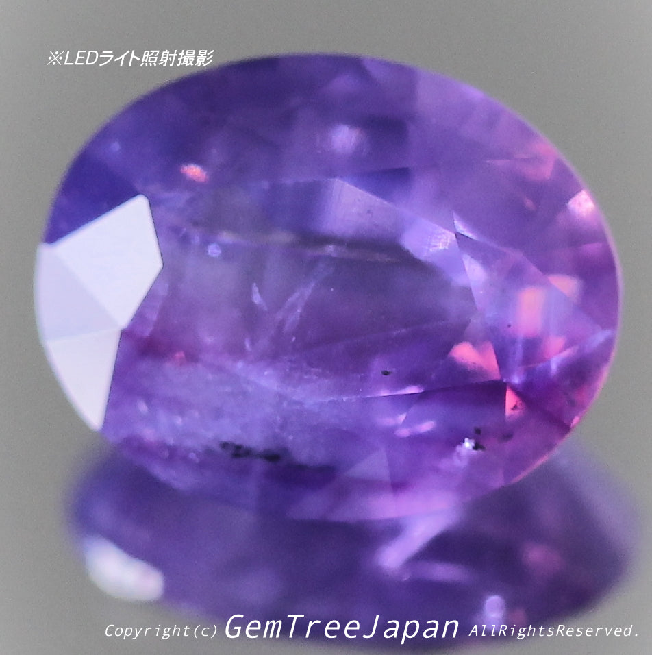 魅力的なボリュームまでも兼ね備えた希少石✨非加熱カシミールサファイア2.017ct✨ピアっちゃん作品💎パキスタン代表🇵🇰GTQ Olympic 2020大会最終日🎊本日「20時45分終了」となります⏰