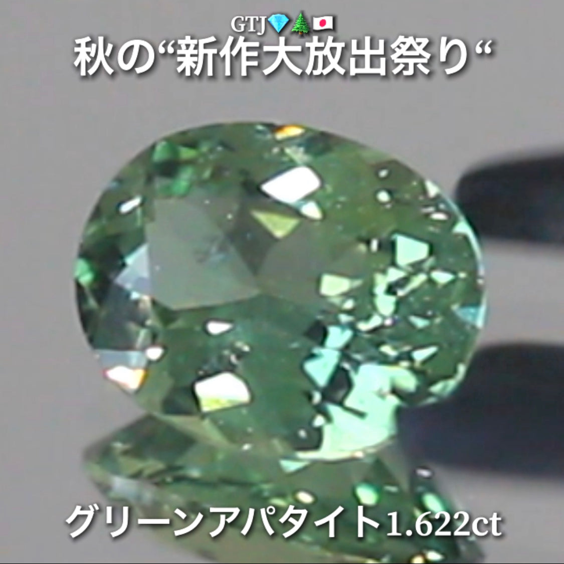 続いてはグリーンアパタイト1.622ct登場✨キラキラファイアーをまとった綺麗な煌き💎秋の“新作大放出祭り🍁”でご紹介で〜す👍