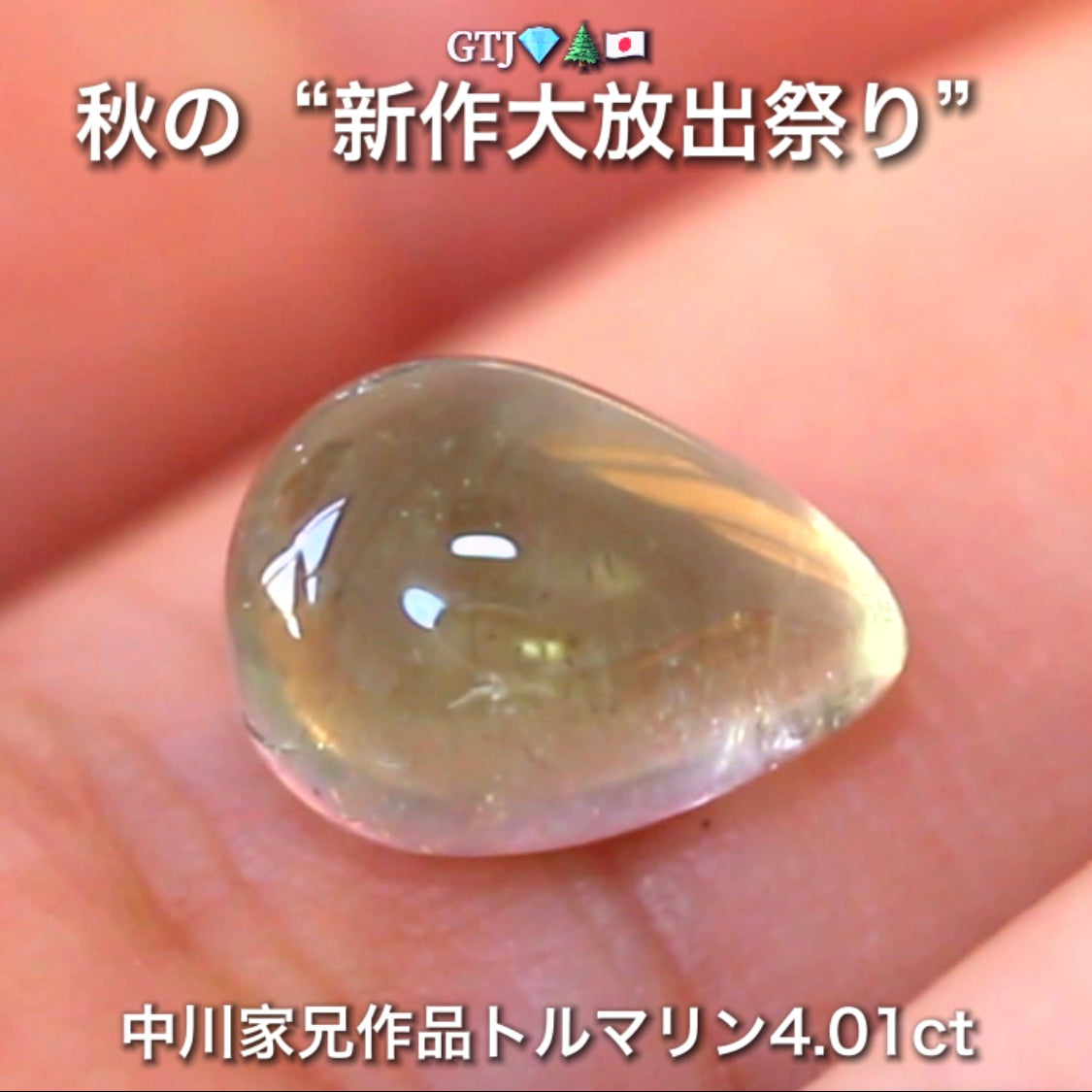 つるぴかウォーターメロン4.01ct🍉楽しいトルマリン特集💎✨こちらはGemTreeAuctionでご紹介で〜す♬秋の“新作大放出祭り🍁”こちらは本日21:00終了です⏰