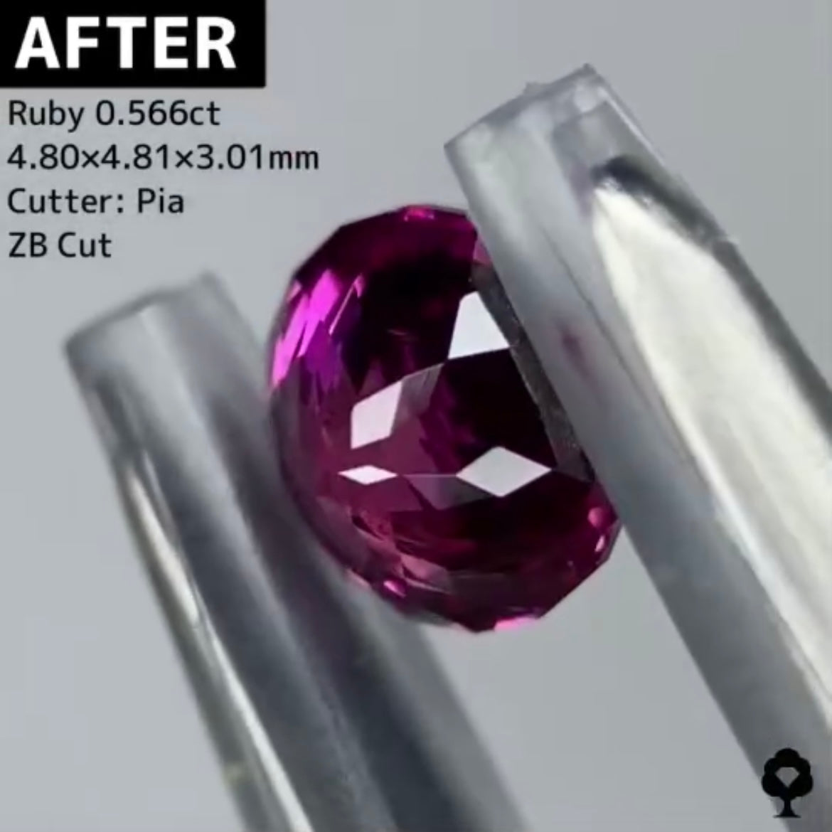 【BEFORE宝石】⑥ ルビー 0.69ct