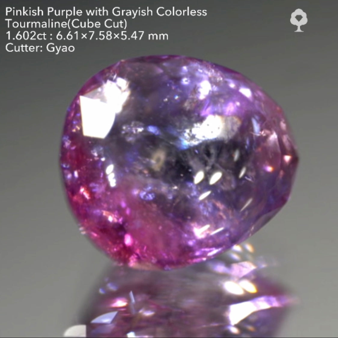 複雑な美色トルマリン(バフトップテーブル&変則キューブ) 1.602ct✨ゲオちゃん作品