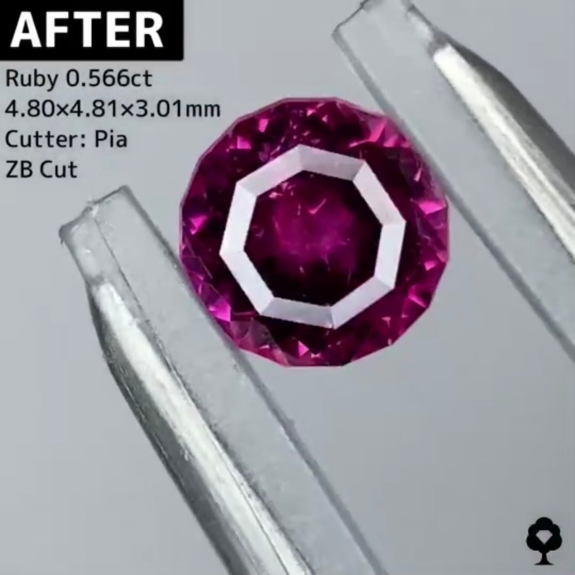 【BEFORE宝石】⑥ ルビー 0.69ct