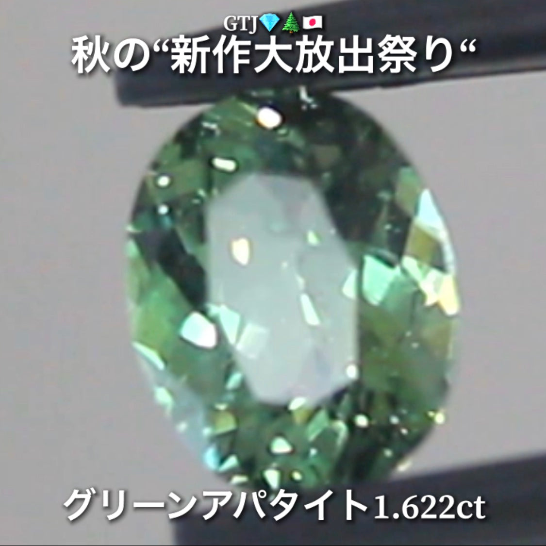 続いてはグリーンアパタイト1.622ct登場✨キラキラファイアーをまとった綺麗な煌き💎秋の“新作大放出祭り🍁”でご紹介で〜す👍