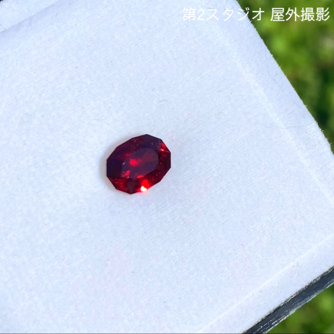 およそ一年ぶりの企画再稼働😁👍開催期間の長〜いオークション!その名も“1ヶ月オークション”💎🌲10/15スタート〜11/14終了🤣 ピアッちゃん作品「レッドマラヤガーネット」1.856ct✨