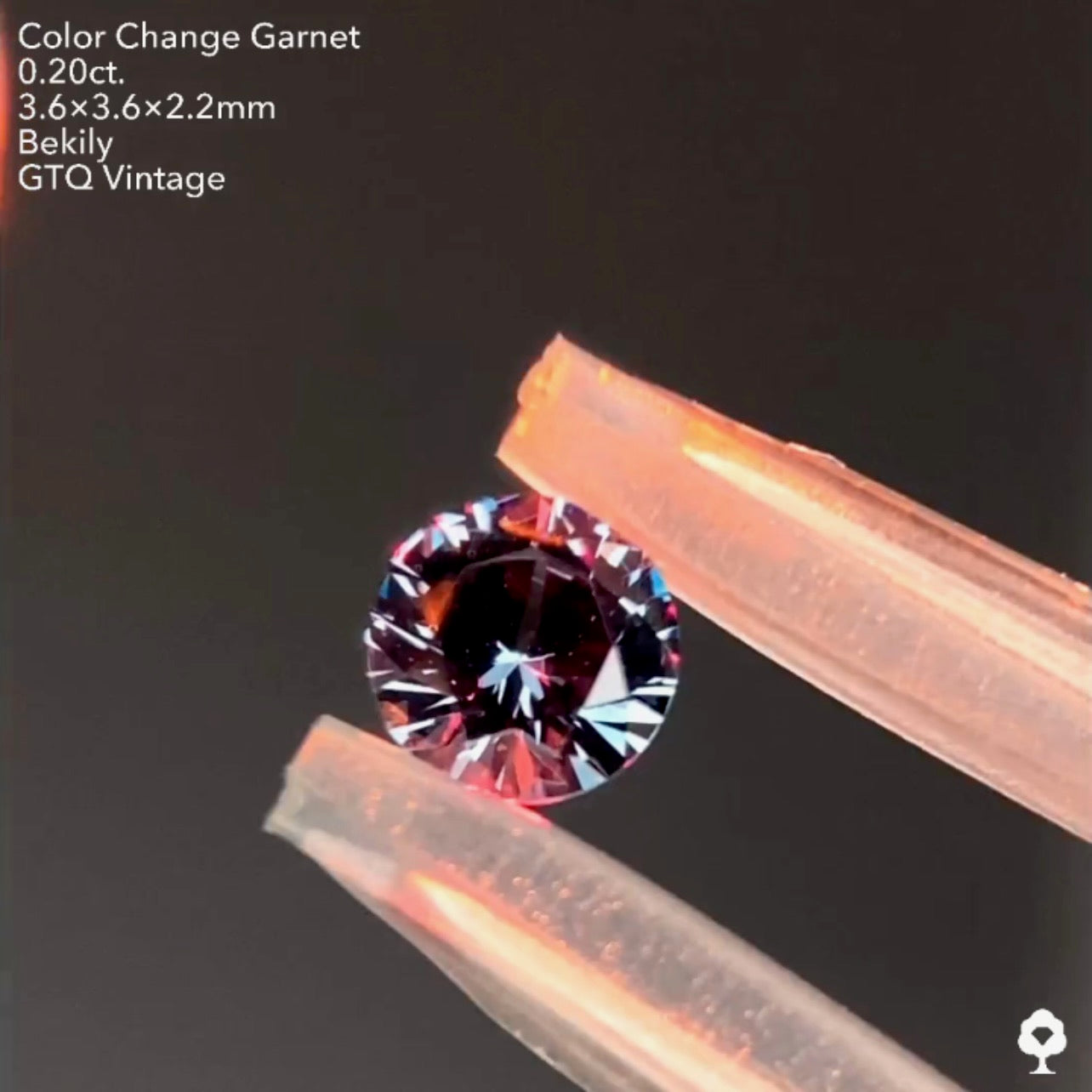 No19.🌊良き質🤤ベキリー(カラーチェンジ)ガーネット0.20ct❤️🔥全サイトでイッキに販売スタートLive💎✨❤️🔥🔦