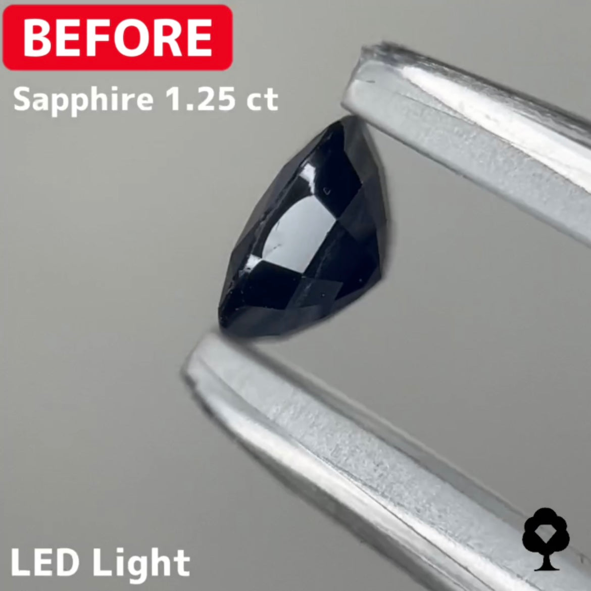 【BeforeAfterギャンブル企画2🦐】カットがモヤモヤするBefore宝石が生まれ変わる‼️サファイア Before 1.25ct