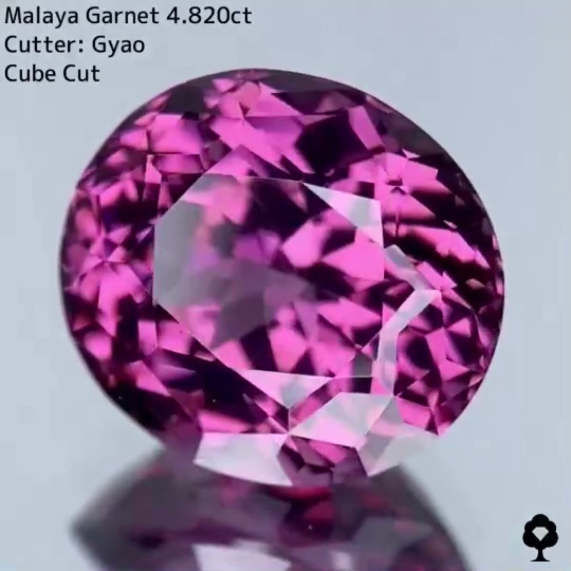 美色・品質・大きさ・カットの4拍子揃った傑作★マラヤガーネット 4.820ct
