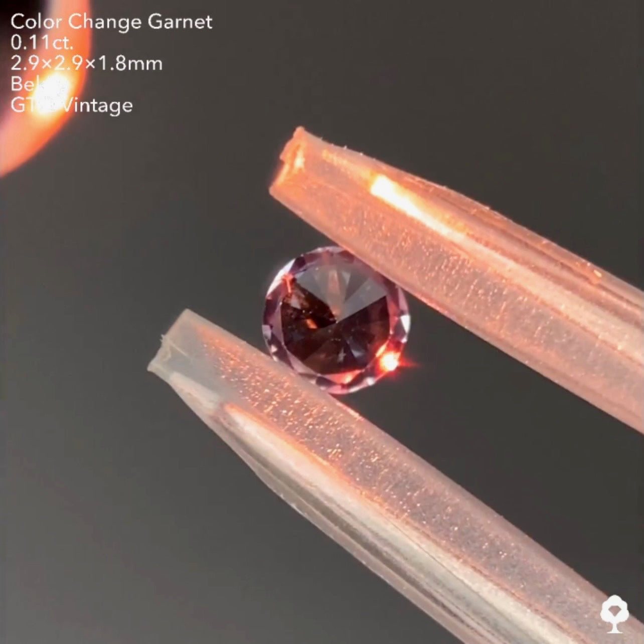カッコよくてレアなグレーのベキリー(カラーチェンジ)ガーネット0.11ct❤️🔥