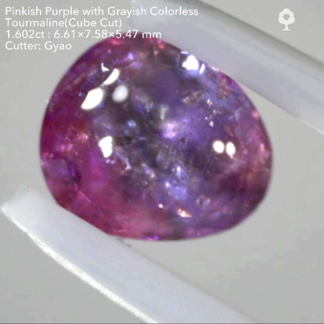 複雑な美色トルマリン(バフトップテーブル&変則キューブ) 1.602ct✨ゲオちゃん作品