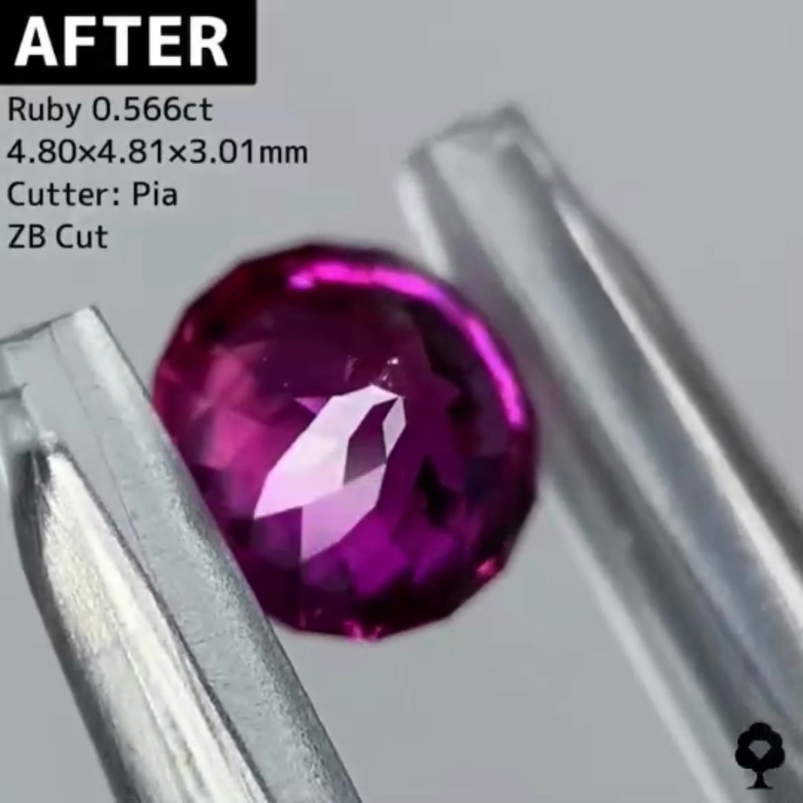 【BEFORE宝石】⑥ ルビー 0.69ct