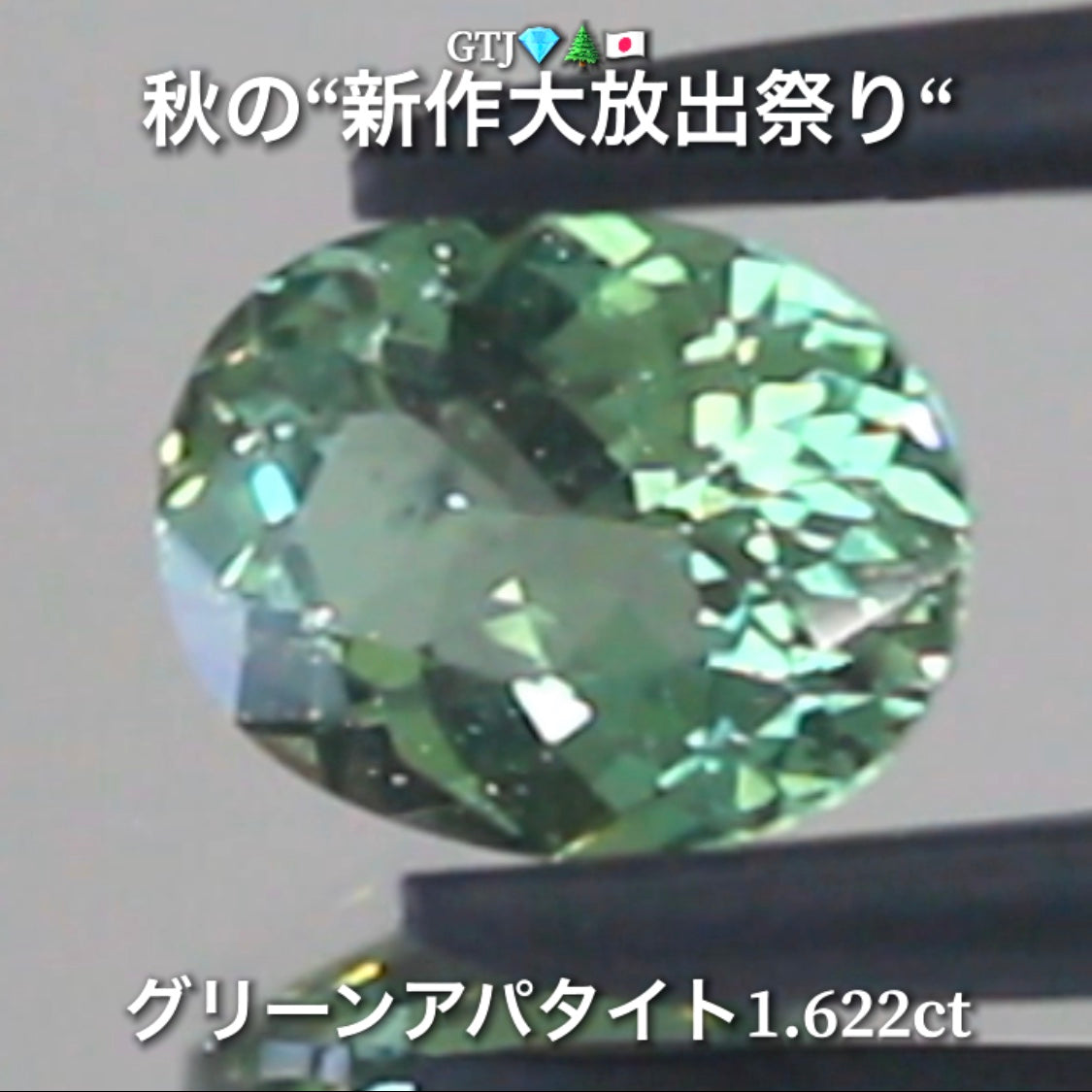 続いてはグリーンアパタイト1.622ct登場✨キラキラファイアーをまとった綺麗な煌き💎秋の“新作大放出祭り🍁”でご紹介で〜す👍